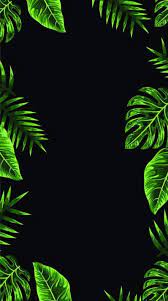 41 Ideas Palm Tree Aesthetic Dark Tree Wallpaper Iphone Neon Wallpaper Flower Phone Wallpaper Green palm tree on white background stock photo 142068418.