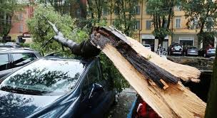 Angebote direkt von lokalen händlern. Downburst L Incredibile Fenomeno Meteo Si Abbatte Su Modena Attimi Di Terrore E 30 Feriti