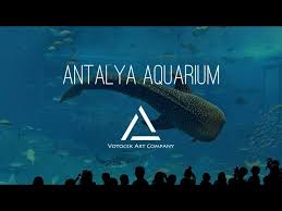Antalya Aquarium Turkey Youtube