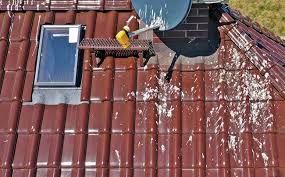 Prix Pour Un Depigeonnage Toiture Ultra Son Toit