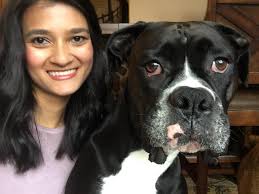 Happy Boxer Day to all the boxers