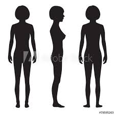 Superficial anatomy or surface anatomy is important in human anatomy being the study of anatomical landmarks that can be readily identified from the contours or other reference points on the surface of the body.1 with knowledge of superficial anatomy, physicians gauge the position and. Human Body Anatomy Front Back Side Vector Woman Silhouette Stock Vector Adobe Stock