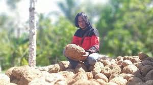 Itulah beberapa cara mengenai cara melihat kode qr whatsapp orang lain yang telah kami rangkum untuk anda coba. Kisah Sukses Pemulung Jadi Petani Kaya Ingin Umrohkan Warga Satu Desa Halaman 4 Tribunnews Com Mobile