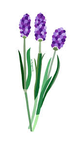 Profile for Lavender Ladies