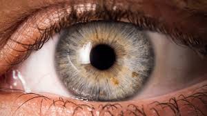 Brain aneurysm foundation, hanover, massachusetts. What Are Eye Floaters 5 Eye Problems You Shouldn T Ignore