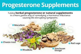 Image result for Natural Progesterone