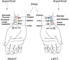 Acupuncture Pulse Points Used At The Wrist From Walker 1996