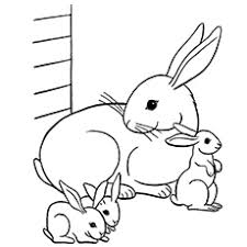 Here's a set of free printable alphabet letter images for you to download and print. Top 15 Free Printable Bunny Coloring Pages Online