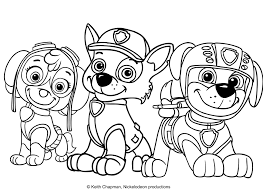 Disegni Cartoni Da Colorare Paw Patrol Migliori Pagine Da Colorare