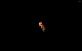 Orange Octopus Swimming Into The Darkness Wallpaper Minimalistic Wallpapers 49154 Orange gradient wide minimalist orange background wallpapers author of the post : orange octopus swimming into the
