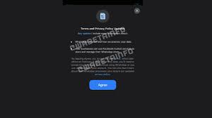 Whatsapp yeni sözleşmesi neleri içeriyor? Whatsapp Hizmet Sartlari Sozlesmesini Guncelleyecek