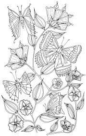 Butterflies Butterfly Coloring Page Enchanted Forest Coloring Book Coloring Pages