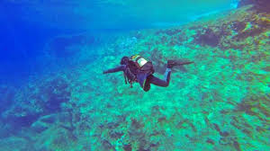 We did not find results for: Bukan Terumbu Karang 5 Hal Seram Ini Ditemukan Di Dasar Laut