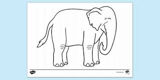 After the glue dries, cut out the elephant picture from the cardboard. Elephant Colouring Pages Colouring Sheets