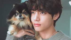We did not find results for: Taehyung Pics On Twitter In 2021 Bts Dogs Taehyung Bts Taehyung