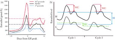 Variation In Estradiol Levels Across The Menstrual Cycle A