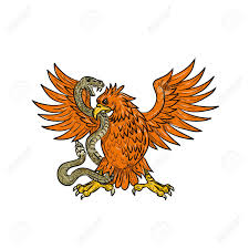 A sign of an eagle eating a snake while sitting on a cactus determined the home of mexica. Drawing Sketch Style Illustration Of An American Golden Eagle Royalty Free Cliparts Vectors And Stock Illustration Image 120991289