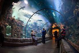 5 Family Friendly Vegas Hotels Cheapflights Vegas Vacation Vegas Attractions Las Vegas Attractions