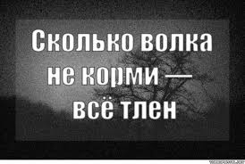 Картинки по запросу Всё тлен