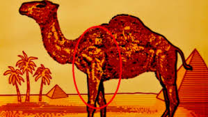 Camel cigarette coupons for art projects, scrap booking or wallpapering. Terms Of Use Smoking Room