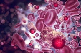 The blood is a fluid tissue with many different functions. Blood Cancers The Use Of Umbilical Cord Stem Cells