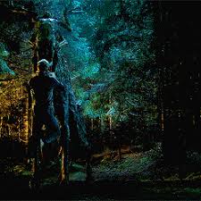 | meaning, pronunciation, translations and examples. The Ritual By Adam Nevill