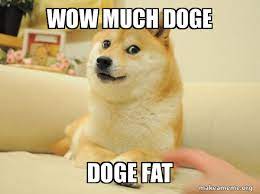 We have 85+ amazing background pictures carefully picked by our community. Wow Much Doge Doge Fat Doge Make A Meme