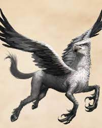 Hippogriff Harry Potter Wiki Fandom Hippogriff Harry Potter Harry Potter Creatures Creature Drawings