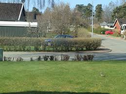 Image result for site:byggahus.se LJUNGBY