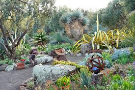 Image result for Grangea zambesiaca