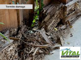 We will also advise you on any. Building Inspections The Hills 253 Call 0401 012 074