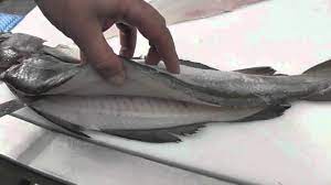 Check spelling or type a new query. Pollock Description Of The Fish Health Benefits And Harms