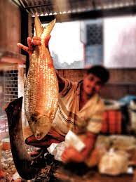 traditional bengali cuisine all the slight details bengali culture bengali food bengali