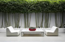 Randwick Es Secret Gardens Contemporary Garden Design Modern Garden Outdoor Design