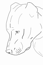 The puppy of this breed tends to be very lively because it has an athletic body and a lot of energy to accompany the tutor in exercises, races, or other activities. Pitbull Coloring Pages Best Coloring Pages For Kids