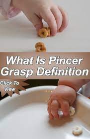 What Is Pincer Grasp Definition Grasp Definitions Baby Care