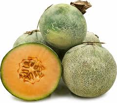 Malaysian Rock Melon Information Recipes And Facts
