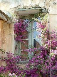 Pin By Edy Lorenzo On Doors Windows Beautiful Windows Windows And Doors Windows