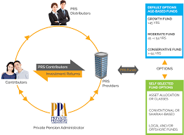 The fund aims to achieve capital growth and income. Structure Of Private Retirement Schemes Prs Private Pension Administrator