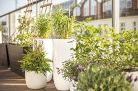 Ein blumenkasten reicht aus um darin z.b. Wasser Vertikales Gartnern Balkon Franks Kleiner Garten Willkommen In Franks Kleinem Garten