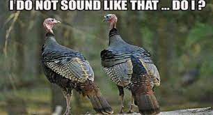 11 Turkey Memes That Will Get You Ready To Blast Those Birds