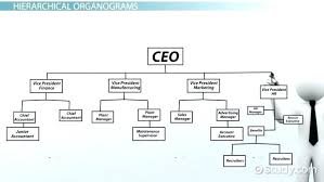 organizational structure flow chart jasonkellyphoto co