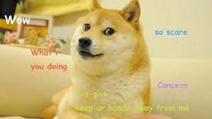 However, dogecoin is still a long way from that, but the value of the digital currency is increasing more and more and nobody knows why. Lblmbc1bwrpdjm