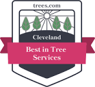 Best Tree Services in Cleveland, Ohio of 2024 - Trees.com