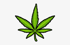 2011, vera rubin, cannabis and culture (page 510). Marihuana Png Free Marihuana Png Transparent Images 34638 Pngio