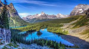 Wide Rocky Mountain National Park Wallpaper Hd Wallpaper Hd 2778 New Download Wallpaper Images Ph Rocky Mountain National Park National Parks Rocky Mountains