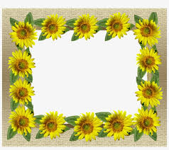 Oyo 564 bunga matahari guest house and hotel malang promo. Frame Gold Sunflower Border Card Bingkai Foto Bunga Matahari Png Image Transparent Png Free Download On Seekpng