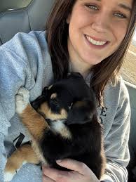 Trick ideas needed! I'm looking for more tricks to teach my 16 week old  collie. He knows sit, lay down, paw, roll over, spin, speak, fetch, catch,  play shy, wait, middle. Pic