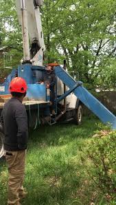 Our job consisted of removal of three very large maple trees. Robles Tree Service Llc Home Facebook