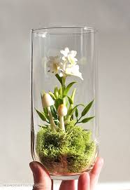 Pin On Green Thumb